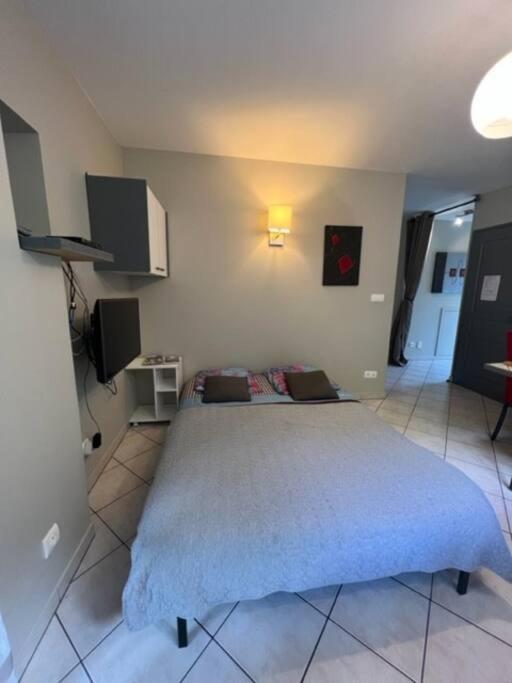 Le Fsi .Confort*Wifi*Parking*Ski - Cure Thermale-Les Lodges De Sandrine Ла-Лешер Екстер'єр фото